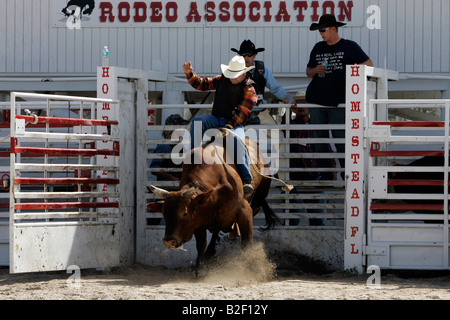 U.S. HOMESTEAD Sankey s School Rodeo Bullriding Foto GERRIT DE HEUS Stockfoto