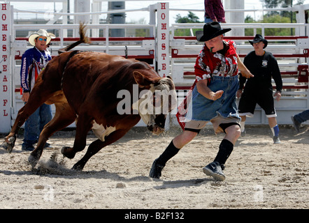 US-Gehöft Sankey s Schule Bullriding Rodeo einem tobenden Stier läuft nach der Torero Foto GERRIT DE HEUS Stockfoto