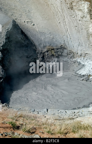 USA, Wyoming, Yellowstone-Nationalpark, Schwefel-Kessel, bei Mud Volcano Stockfoto