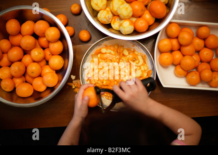 Fünf Jahre altes Mädchen schält Orangen aus dem Garten zu Marmelade machen gesammelt Stockfoto
