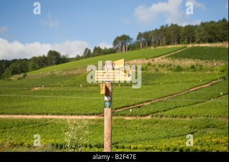 Wegweiser-Route des Grands Crus Pernand Vergelesses Burgund Frankreich Stockfoto