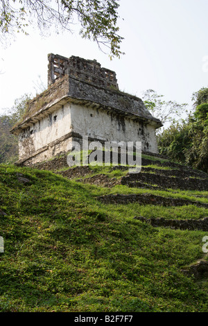 Tempel der Sonne, archäologische Stätte Palenque, Bundesstaat Chiapas, Mexiko Stockfoto