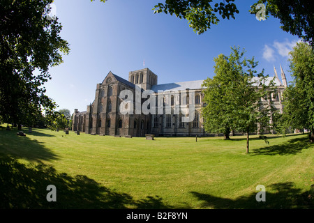 Winchester Cathedral außen im Frühsommer Sonnenschein Morgen Hampshire England Großbritannien GB Großbritannien britische Inseln Stockfoto