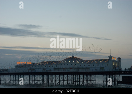 Brighton Pier bei Sonnenuntergang mit Stare im Himmel Stockfoto