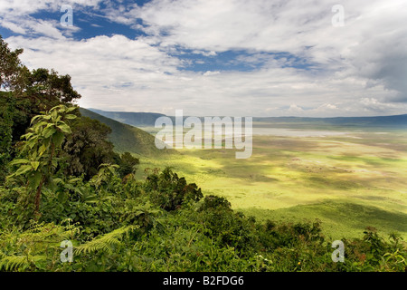 Ansicht des Ngorongoro Crater Rim Tansania Stockfoto