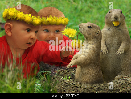 zwei Babys und zwei Erdmännchen Stockfoto