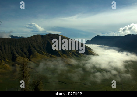 Luftbild von Berg und Savanne Stockfoto