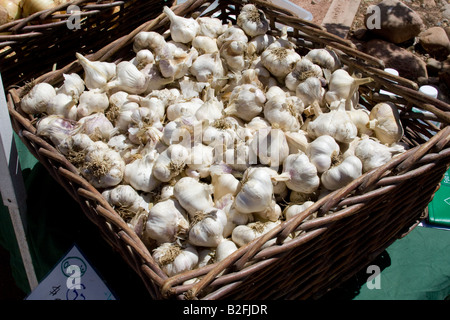 Knoblauch Zwiebeln in einem braunen Korb Stockfoto