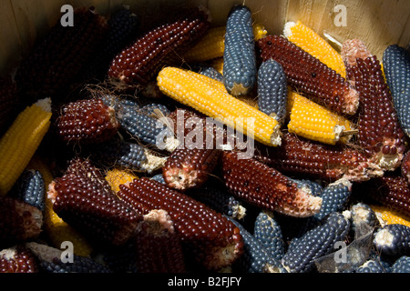 Mehrfarbig Popcorn noch auf Schale Stockfoto