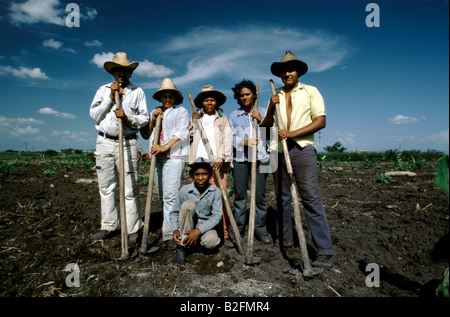 Gruppe von Zuckerrohr Bauern in einer Genossenschaft in Provinz Holguin, Kuba Stockfoto