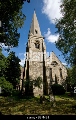 Strand Hochkirche Epping Forest Essex Stockfoto