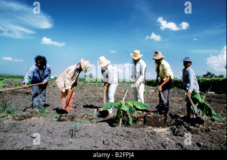 Gruppe von Zuckerrohr Bauern in einer Genossenschaft in Provinz Holguin, Kuba Stockfoto