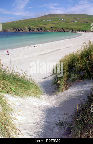 Sanddünen Machirs Shetland Festland Schottland Scousburgh Strand und Bucht blauer Himmel klar See Stockfoto