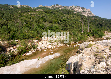 Die Cavu Fluss und die Landschaft im Südosten Korsikas. Stockfoto