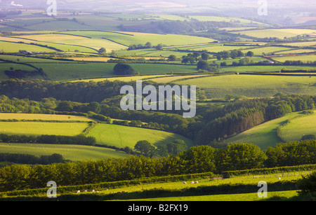 Hügelige Felder des Exmoor National Park Devon England Stockfoto