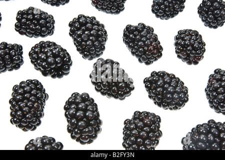 Rubas Obst Brombeere Brombeere Kratzbeere schwarze Beeren Boysenbeerensaft Marionberry frisch auf weißem Hintergrund Stockfoto