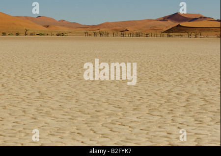 Verbrannte Erde im Dead Vlei, Namibia Stockfoto