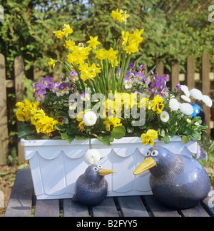 Blumentopf mit verschiedenen Blumen Stockfoto