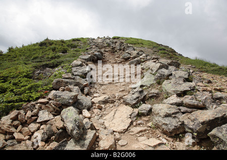 Appalachian Trail... Franconia Ridge in den Sommermonaten befindet sich in den White Mountains New Hampshire USA Stockfoto