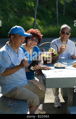 Zwei alte Männer und eine reife Frau Champagner bei Picknick genießen Stockfoto