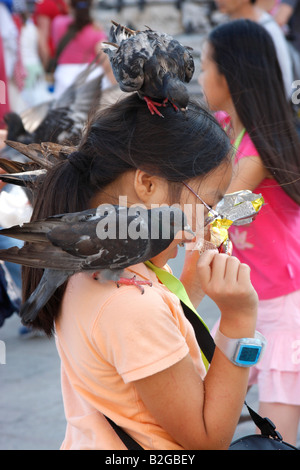 Junges Mädchen in Markusplatz füttern der Tauben, Italien Stockfoto