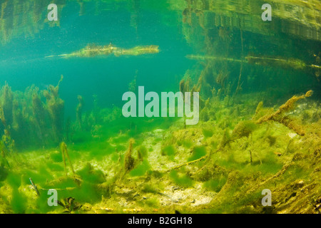 u-Boot unter Wasser See Landschaft Natur schwäbische Alp Deutschland Stockfoto