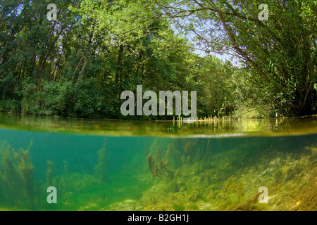 u-Boot unter Wasser See Natur schwäbische Alp Deutschland Stockfoto