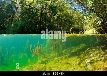 u-Boot unter Wasser See Natur schwäbische Alp Deutschland Stockfoto