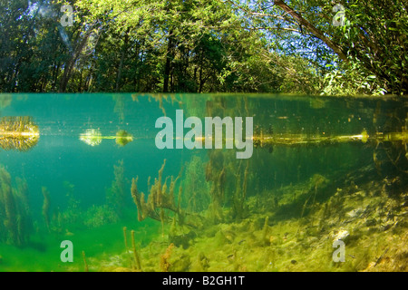 u-Boot unter Wasser See Natur schwäbische Alp Deutschland Stockfoto