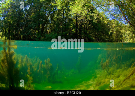 u-Boot unter Wasser See Natur schwäbische Alp Deutschland Stockfoto