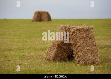 Heuballen in einem Feld in der Grafschaft, Nord-Irland Stockfoto