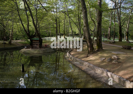 Griechenland Mazedonien Naoussa Agios Nikolaos Saint Nicolas Park gebildet durch den Arapitsa-Fluss Stockfoto