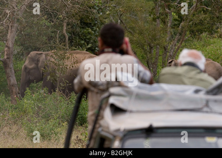 Wildlife-Fotografen zu arbeiten gefangennehmende Bilder eines Elefanten im Dschungel des Bandipur National Park. Stockfoto