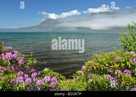 Loch Torridon Morgen Nebel Küste Torridon Berge Frühling weit verbreitet Eindringling in Großbritannien Loch Torridon Western Highlands Scotla Stockfoto