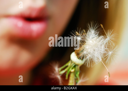 Frau bläst Löwenzahn Uhr Pusteblumen Taraxacum officinale Stockfoto