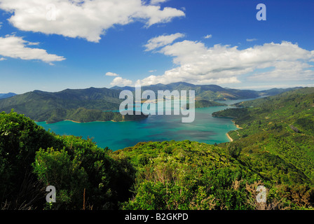 Landschaft Onahau Queen Charlotte Track Kenepuru Sound Marlborough Sounds Np New Zealand National park Stockfoto