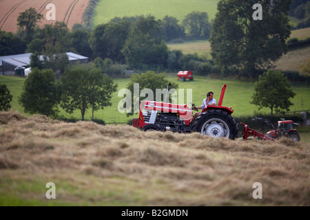 Landwirt sitzt auf einem Massey-Ferguson 185 alten Traktor eine Schwinger-Anlage in einem Feld machen Heu county nach unten ziehen Stockfoto
