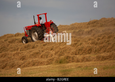 Landwirt sitzt auf einem Massey-Ferguson 185 alten Traktor eine Schwinger-Anlage in einem Feld machen Heu county nach unten ziehen Stockfoto