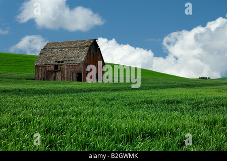 Alte Scheune, die Palouse Latah County (in der Nähe von Genesee), Idaho Stockfoto