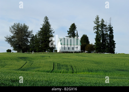 Der Palouse Washington State USA Stockfoto