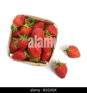 Körbchen frische Erdbeeren Stockfoto