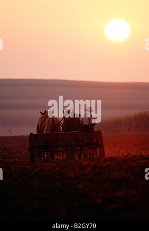 Amische Bauern bei der Feldarbeit mit einem Pferd gezeichneten Wagen Stockfoto