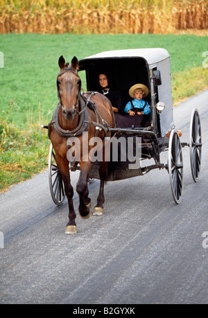 Verwenden Sie die Amish oder Plain Menschen in Pennsylvania Lancaster County, noch Pferden gezogene Buggys für den Transport Stockfoto