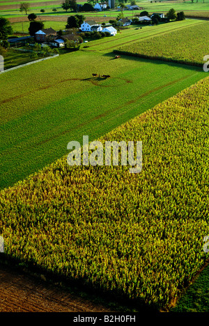 Luftaufnahme des ländlichen Pennsylvania Dutch Country, äußerst fruchtbaren Ackerland Besitz The Plain People oder Amish Stockfoto