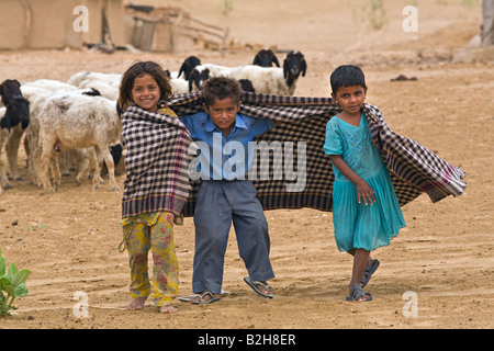 BANJARI TRIBAL Kinder Herde Ziegen in ihrem Dorf in der THAR-Wüste in der Nähe von JAISALMER RAJASTHAN Indien Stockfoto