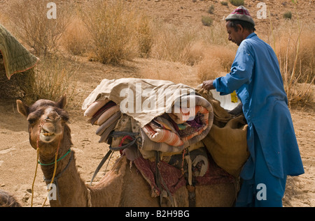 Eine Wüste GUIDE lädt seine Kamel Camelus Bactrianus in der THAR-Wüste in der Nähe von JAISALMER RAJASTHAN Indien Stockfoto