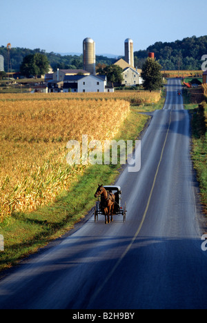 Die Amish oder Plain Menschen in Pennsylvania s Lancaster County verwenden noch Pferden gezogene Buggys für den Transport Stockfoto