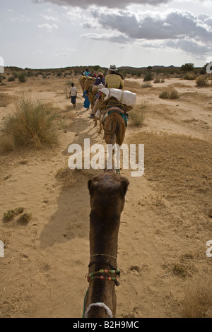 Touristen fahren Kamele in der THAR-Wüste in der Nähe von JAISALMER RAJASTHAN Indien Herr Stockfoto