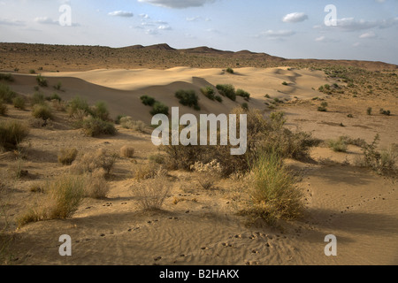 Sanddünen Form in der THAR-Wüste in der Nähe von JAISALMER RAJASTHAN Indien Stockfoto