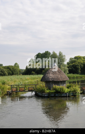 Fluss-Test in der Nähe von Longstock Hampshire England strohgedeckten Fishermans Hütte und Flechtwerk Aal fallen über den Fluss Stockfoto